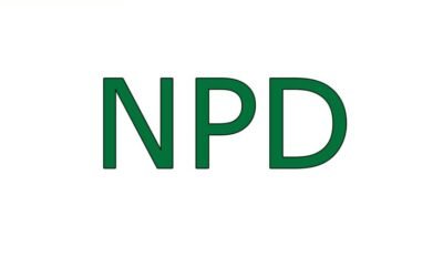 Kas yra NPD ir kaip jis skaičiuojamas?